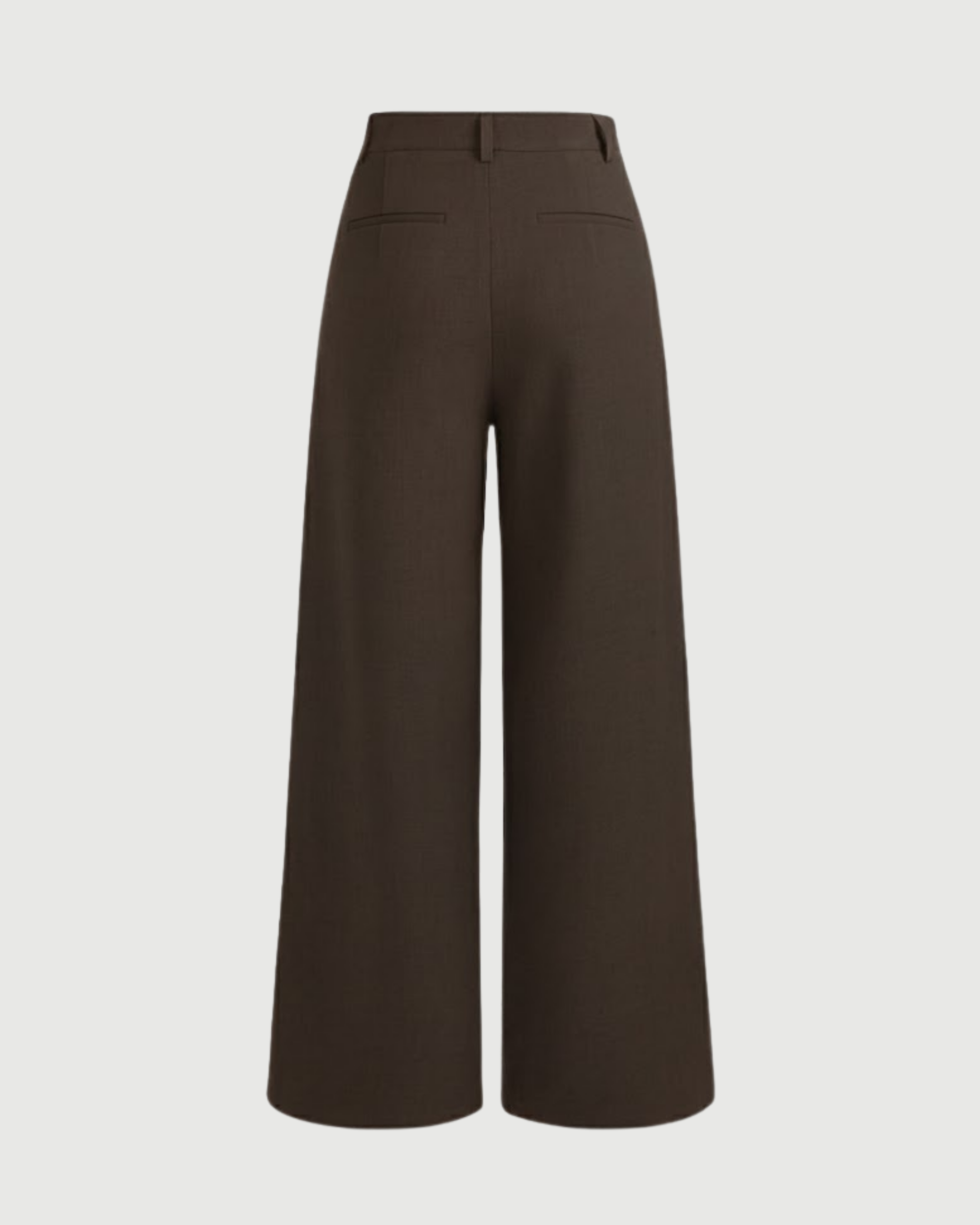 Sleek Pleated Straight Leg Pants-Coffee